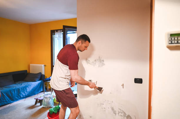 Best Health and Safety Mold Remediation in Arroyo Grande, CA
